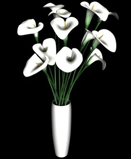 コレ: 本数、形状共に合いますが.....